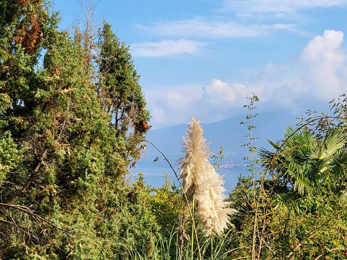 Bella Vista Lago Maggiore Гіффа Екстер'єр фото
